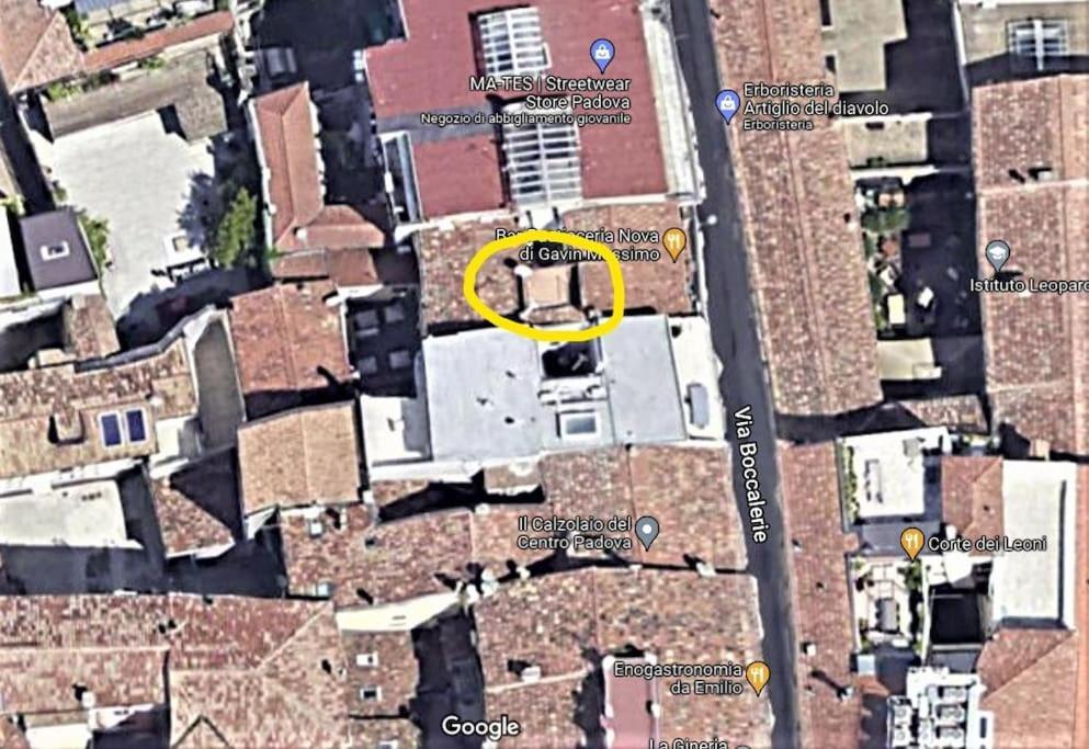 Residence Dei Frutti Pieno Centro - Il Cedro Padova Eksteriør bilde